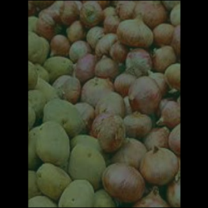 onionpotato_original_copy_1_copy_1