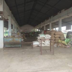 lilava_seda_original