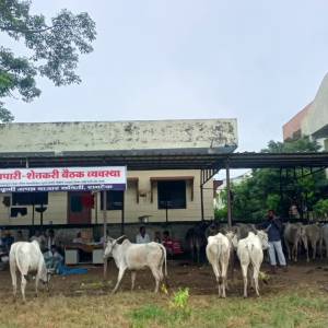 IMG-20251008-WA0025_original